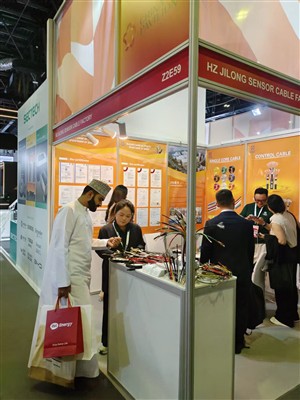 2025 Dubai Energy Expo kommer til en perfekt konklusjon